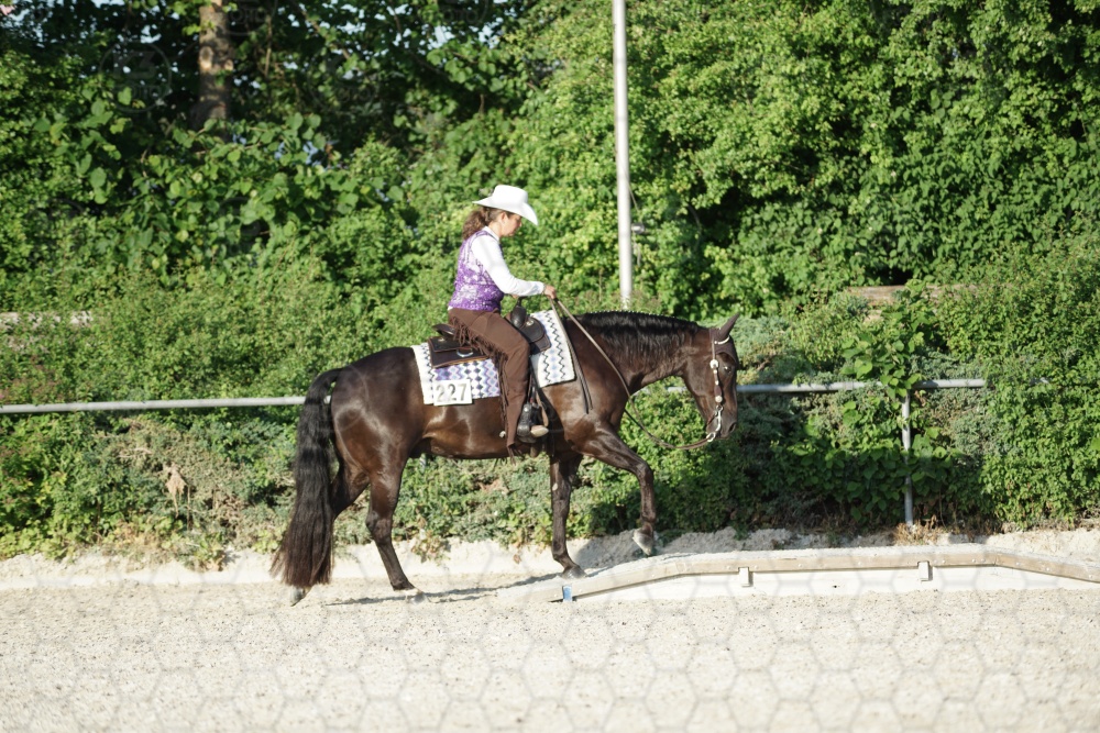 s_APF07226.jpg